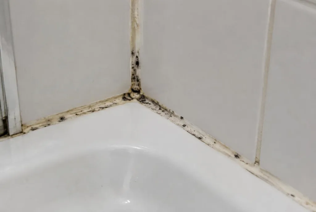 Kitbedrijf Montfoort – beschimmelde kitranden